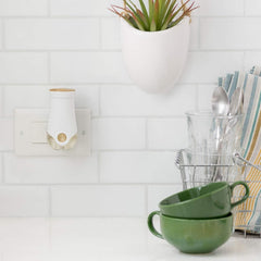 Glade Electric Plugin Oud Desire Scented Oil Fragrance Air Refill 20ml