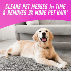 Airpure Pet Proud Carpet Freshener Odour Eliminator Wild Country Flower 350G