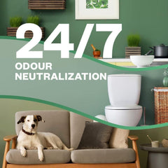 Airpure Home Air Freshener Deep Oud Automatic Refill Up to 70 Days of Freshness
