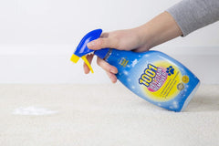 1001 Pet Stain Remover Carpet Upholstery Mud Dirt Cleaner Spray 500ml