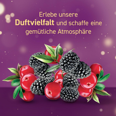Glade Automatic Spray Refill Winter Berries Fragrance 269ml - Limited Edition - Air Freshener for Room Home Hotels Office