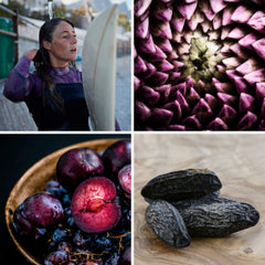 Glade Electric Plugins Scented Oil Refill Air Freshener Plum Passion Pulse 20ml