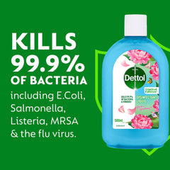 Dettol Garden Symphony Bundle Set Limited Edition Multi Purpose Cleaner