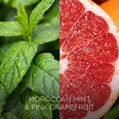 Air Wick Plug In Refills Air Freshener Moroccan Mint & Pink Grapefruit 19ml