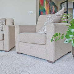 Destello Carpet & Upholstery Rug Cleaner Spray Stain Remover Cleaner 500ml