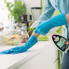 Dri Pak White Vinegar Spray Mirror Glass Surface Cleaner 500ml