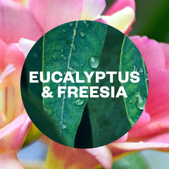 Air Wick Automatic Spray Machine Air Freshener Eucalyptus & Freesia 228ml