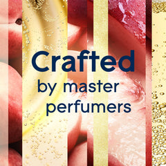 Glade Automatic Air Freshener Spray Unit Machine & Refill Champagne Cheers 269ml