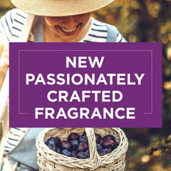 Glade Electric Plugins Scented Oil Refill Air Freshener Plum Passion Pulse 20ml