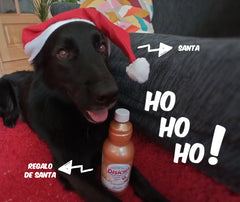 Disiclin Multisurface Floor Cleaner Concentrated Scented Liquid Gold 1L