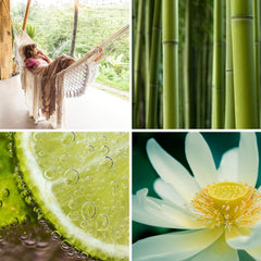 Glade Sense & Spray Freshener Automatic Machine Refill Bamboo Bliss Song 18ml