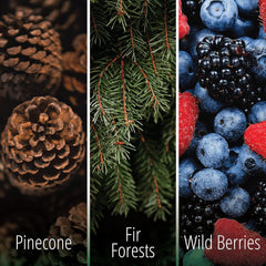 Kifra Concentrated Laundry Fragrance Fresh Forest & Ocean 80 Washes 200ml Bundle