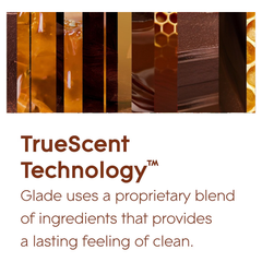 Glade Sense & Spray Festive Honey & Chocolate Warm Spices Air Freshener Refill 18ml - Limited Edition - For Home Office Hotel