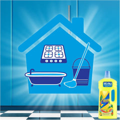 Flash All Purpose Cleaner Yuzu Paradise Limited Edition Floor Cleaners Liquid