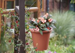 Clever Pots Rope Wire Hanger 40cm For 20cm Round Pots