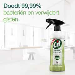 Cif Disinfect Shine Multipurpose Spring Flowers Patented Formulation Spray 500ml