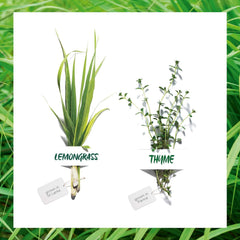 Garnier Organic Essentials Gel Face Wash Moisturiser Toner Care Cleanse Gift Set