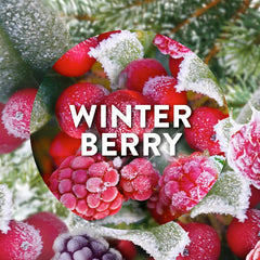 Air Wick Plug in Diffuser Winter Berry Wonderland Home Air Freshener Fragrance