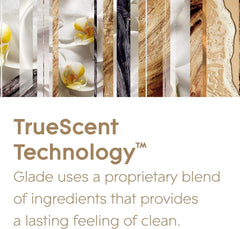 Glade Automatic Refill Spray Room Home Air Freshner Starlight & Snowflakes 269ml
