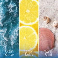 Kifra Concentrated Laundry Fragrance Fresh Forest & Ocean 80 Washes 200ml Bundle