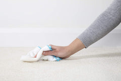 1001 Pet Stain Remover Carpet Upholstery Mud Dirt Cleaner Spray 500ml