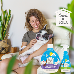 Coco & Lola Disinfectant 500ml Bundle | Spray & Concentrated