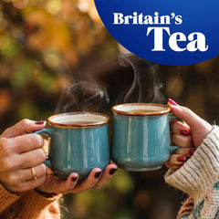 Tetley Tea Herbal Bags Pure Green Individually Wrapped Sachets