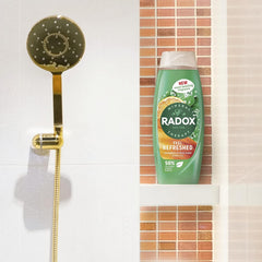 Radox Body Shower Gel Cosy Cabin Spiced Orange & Vanilla Scent 225ml