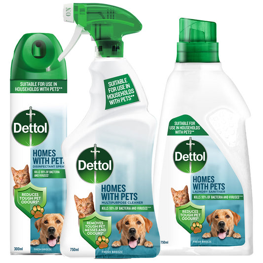 Dettol Pets Bundle Set Fresh Breeze Tough Messes & Odour Remover