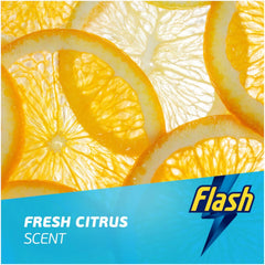 Flash Spray Wipe Done Pet Odours 100% of Multi Purpose Effective Cleaning 800ml