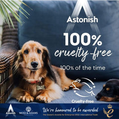 Astonish Disinfectant Ready To Use Surface Cleaner Spray Berry Harvest 550ml