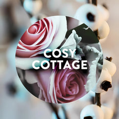 Air Wick Plug in Diffuser Cosy Cottage Frosty Roses Snowberry Air Freshener Scen