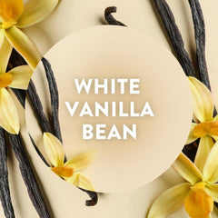 Air Wick Infused Essential Oils White Vanilla Bean Fragrance Refill Freshener