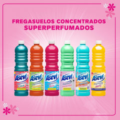 Asevi Delicate Surface Floor Cleaner Liquid Dirt Remover Cera 1L