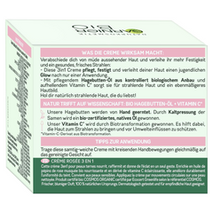 Garnier Organic Rosy Glow 3 in 1 Youth Face Cream with Rosehip Vitamin C 50ml