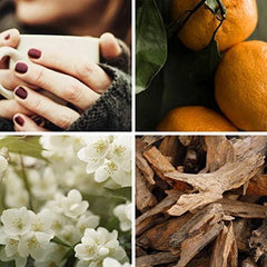 Glade Sense & Spray Air Freshener Twin Refill Office Sea Minerals Magnolia 18ml