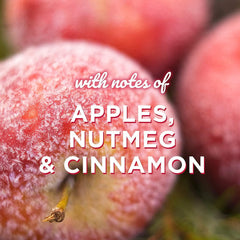 Glade Sense & Spray Complete Apple Cosy Cider Room Home Air Freshner 18ml