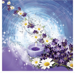 Bold 2 In 1 Lavender & Camomile Washing Powder Laundry Detergent 22 Washes