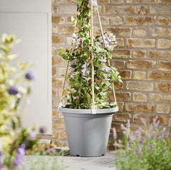 Clever Pots Reusable Cane Supports For 40 & 50Cm Pots