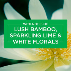 Glade Sense & Spray Freshener Automatic Machine Refill Bamboo Bliss Song 18ml