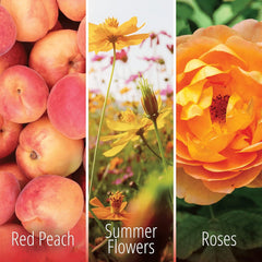 Kifra Peach Concentrated Laundry Rinse Fragrance Gentle Clothes 200ml