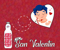 Disiclin Multisurface Floor Cleaner Concentrated Scented Liquid Citron 1L