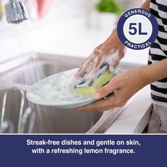 Fairy Original Washing Up Liquid Kitchen Dish Grease Cleaner Dirt Remover 5L