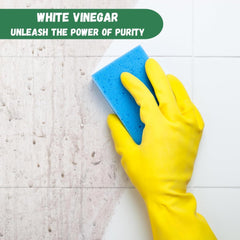 Disiclin Multi Purpose Glass Cleaner White Vinegar With Lemon Spray 750ml