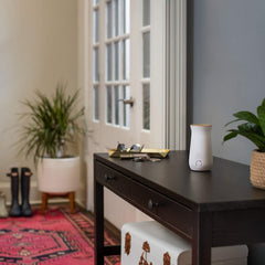 Glade Sense & Spray Air Freshener Twin Refill Office Sea Minerals Magnolia 18ml