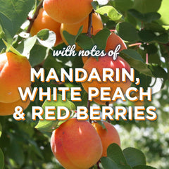 Glade Sense & Spray Sensual Mandarin & Sunshine Air Freshener Refill Home 18ml