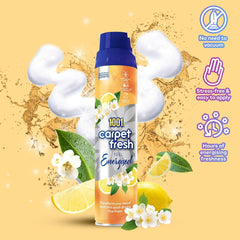 1001 Carpet Fresh Foam Spray Long Freshness Spring Feel Energised 300ml