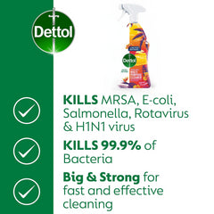Dettol Anti Bacterial Multi Purpose Cleaner Spray Island Escape 750ml