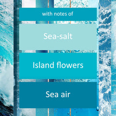 Glade Sense & Spray Ocean Adventure Air Freshener Refill Home Office Hotel 18ml