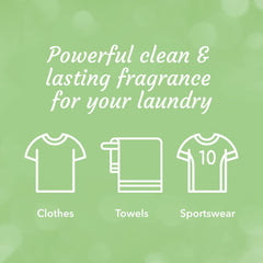 Asevi Laundry Detergent Liquid Concentrated Fabric Stain Remover Aloe Vera 2.4L